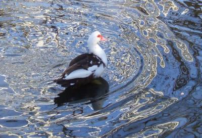 Прикрепленное изображение: 002.jpg